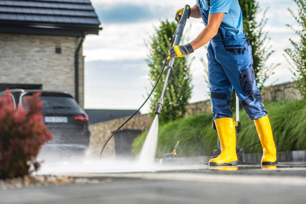 Best Sidewalk and Walkway Cleaning  in Elk Point, SD